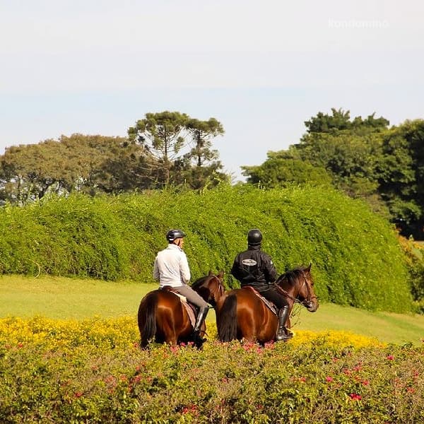 Fazenda Boa Vista, Porto Feliz, SP